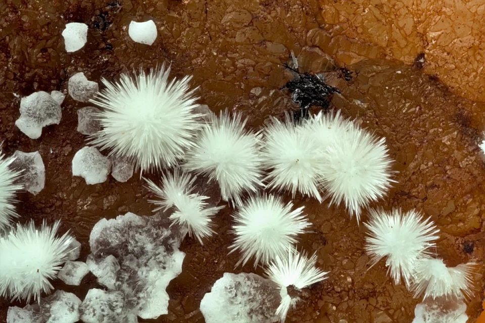 Fotografie minerálu Aragonit z lokality Rocabruna, Spain