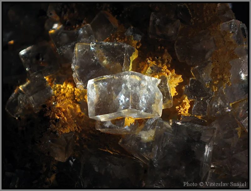 Fotografie minerálu Fluorit z lokality Budjgar, Mongolia