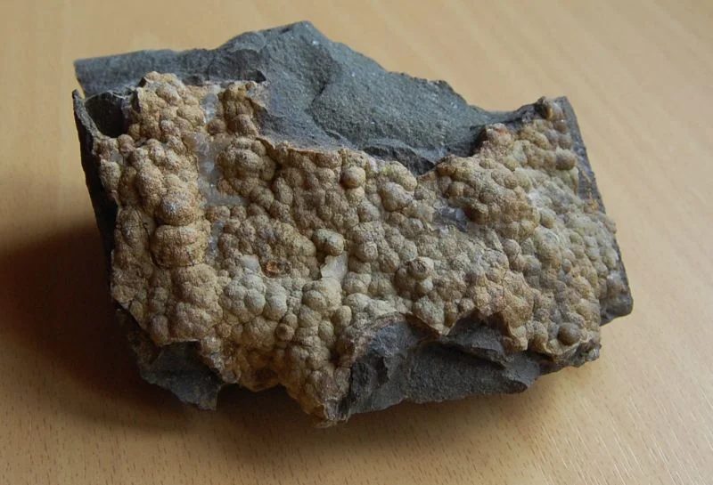Fotografie minerálu Křemen (var. chalcedon) z lokality Petřkovická hůrka, Czech Republic