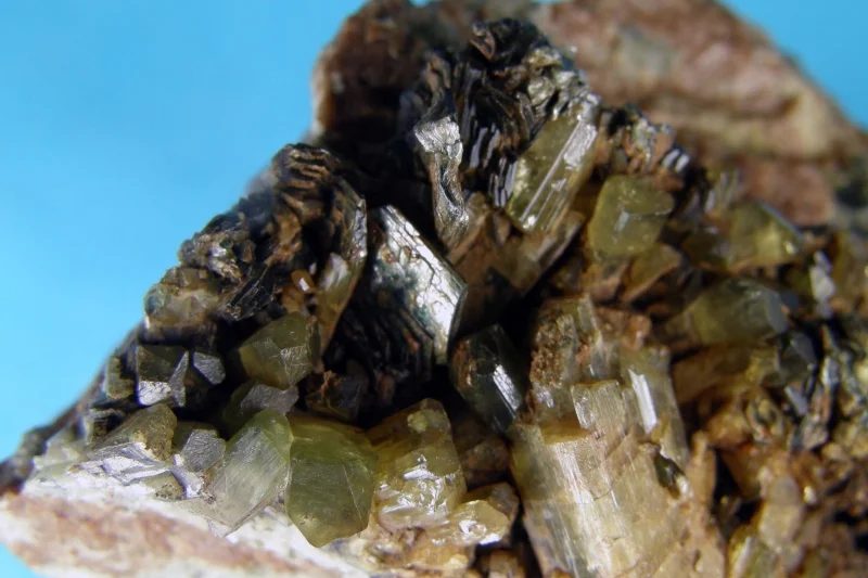 Fotografie minerálů Chlorit, Diopsid z lokality Ala, Italy