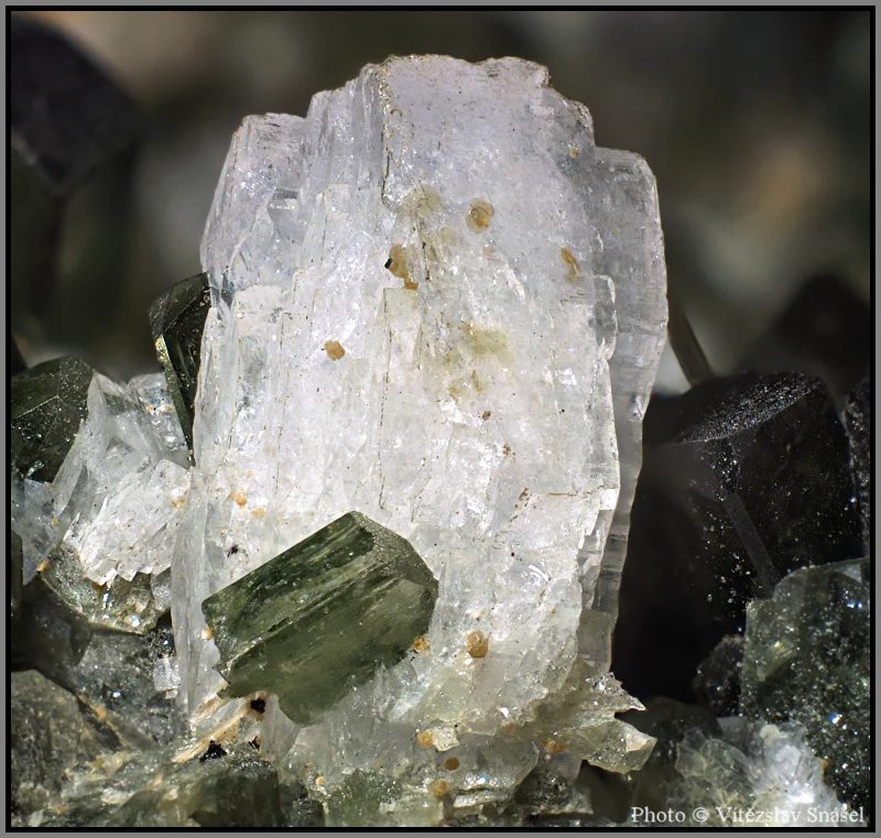 Fotografie minerálů Albit, Diopsid z lokality Tormiq Valley, Haramosh Mts., Skardu District, Gilgit-Baltistan, Pakistan