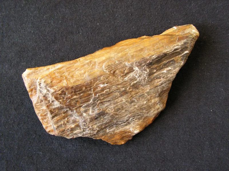 Fotografie minerálu Křemen (var. zkamenělé dřevo) z lokality Vražné (okr. Nový Jičín), Czech Republic