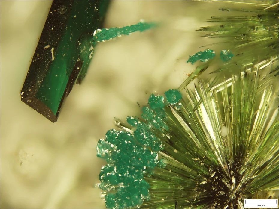 Fotografie minerálů Atacamit, Olivenit, Pseudomalachit z lokality La Farola Mine, Chile