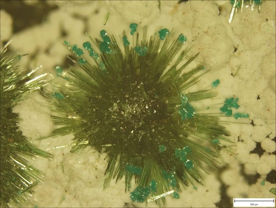 Fotografie minerálů Olivenit, Pseudomalachit z lokality La Farola Mine, Chile