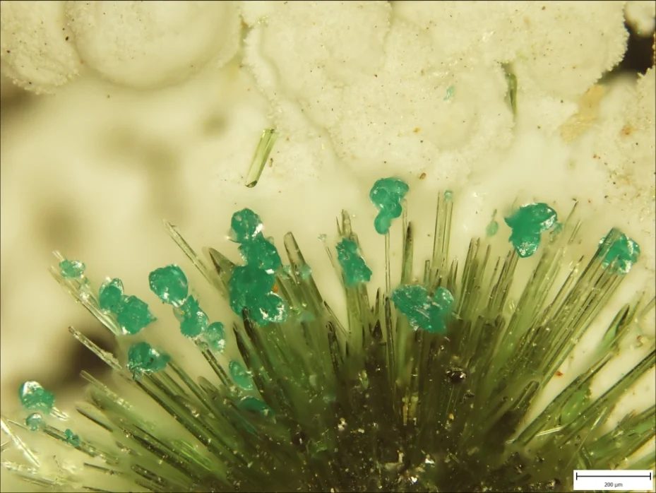 Fotografie minerálů Olivenit, Pseudomalachit z lokality La Farola Mine, Chile