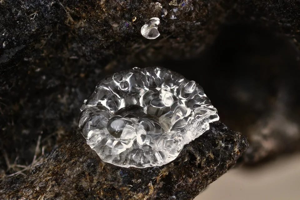 Fotografie minerálu Opál (var. hyalit) z lokality Caux, France
