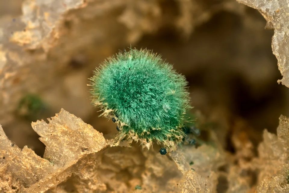Fotografie minerálu Malachit z lokality Lubietová, Slovakia
